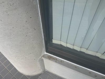 image6_2.jpeg