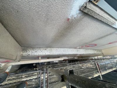 image21_3.jpeg
