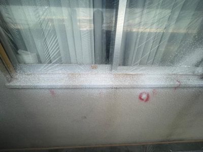 image24_23.jpeg