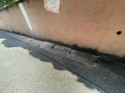 image44_2.jpeg
