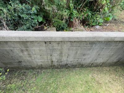 image9_19.jpeg