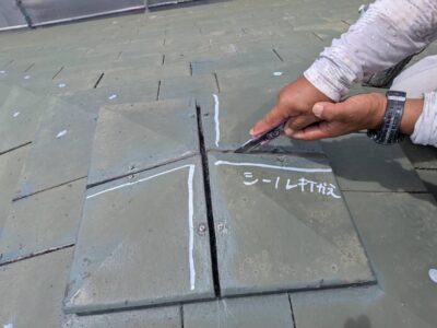 image17_3.jpeg