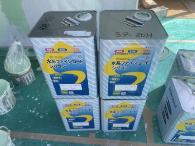 IMG_6398.jpeg