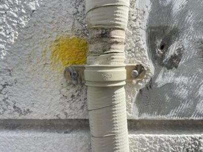 IMG_8760.JPG