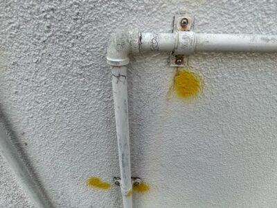 image9.jpeg
